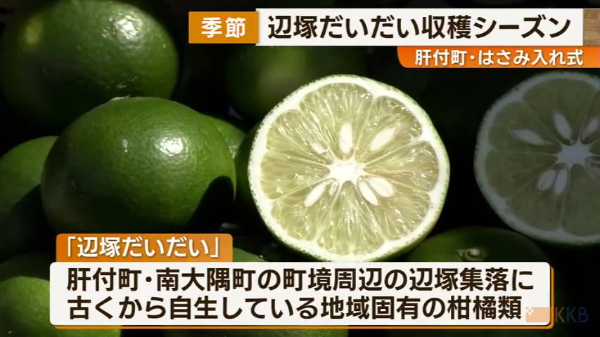 KKB NEWS