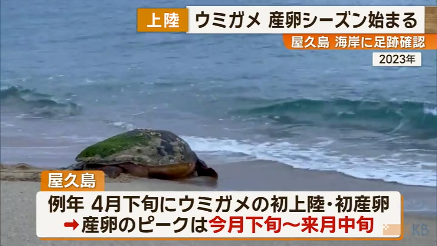 KKB NEWS
