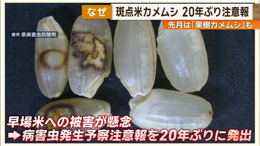 KKB NEWS