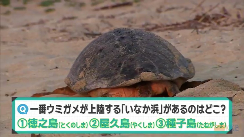 KKB NEWS