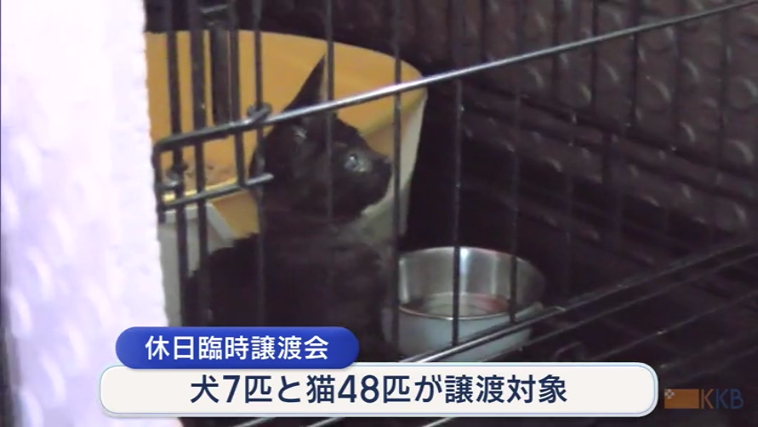 KKB NEWS
