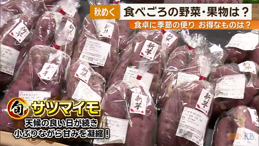KKB NEWS