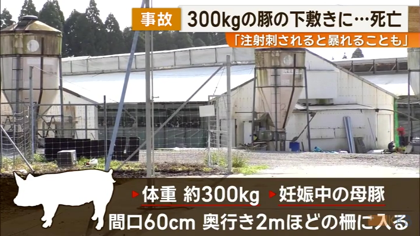 KKB NEWS