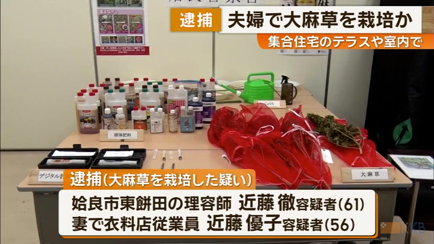 KKB NEWS