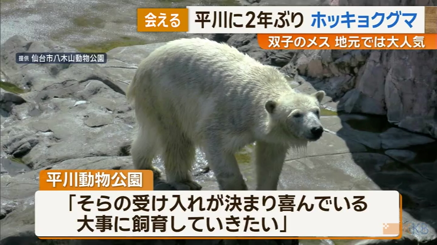 KKB NEWS